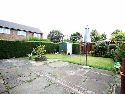 Picture 13